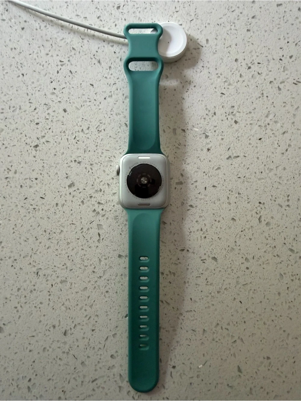Apple Watch SE 40mm with charger